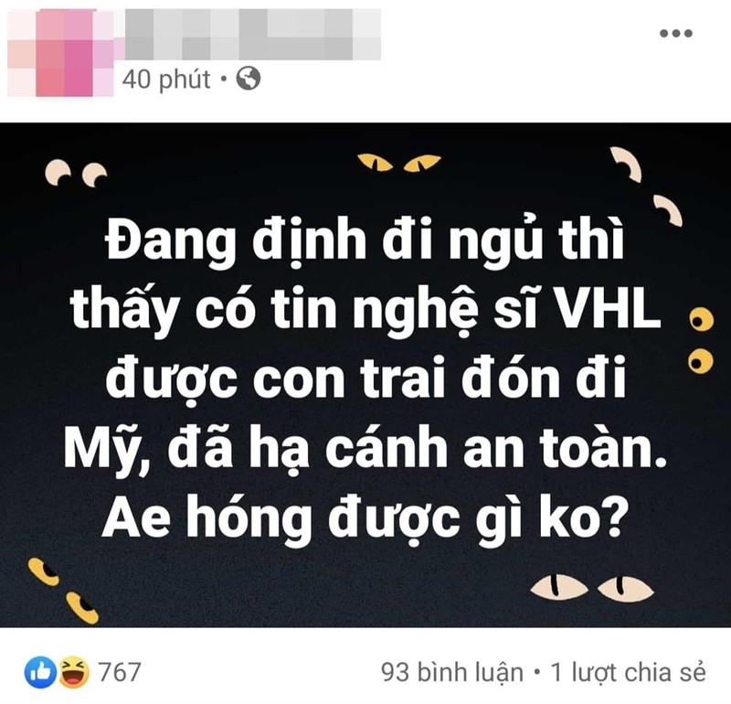 Ro tin don con trai don Hoai Linh ve My, da ha canh?-Hinh-2