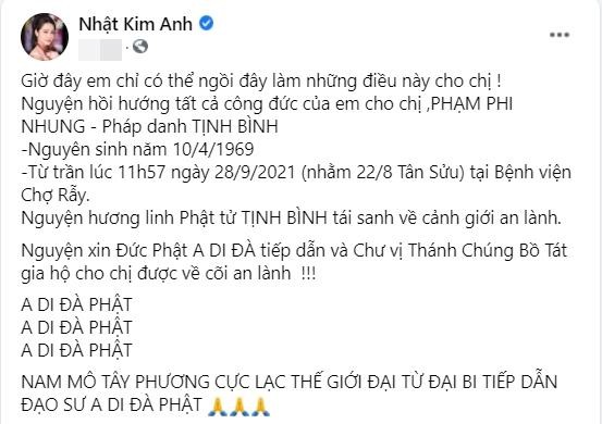 Nhat Kim Anh bi chi trich 