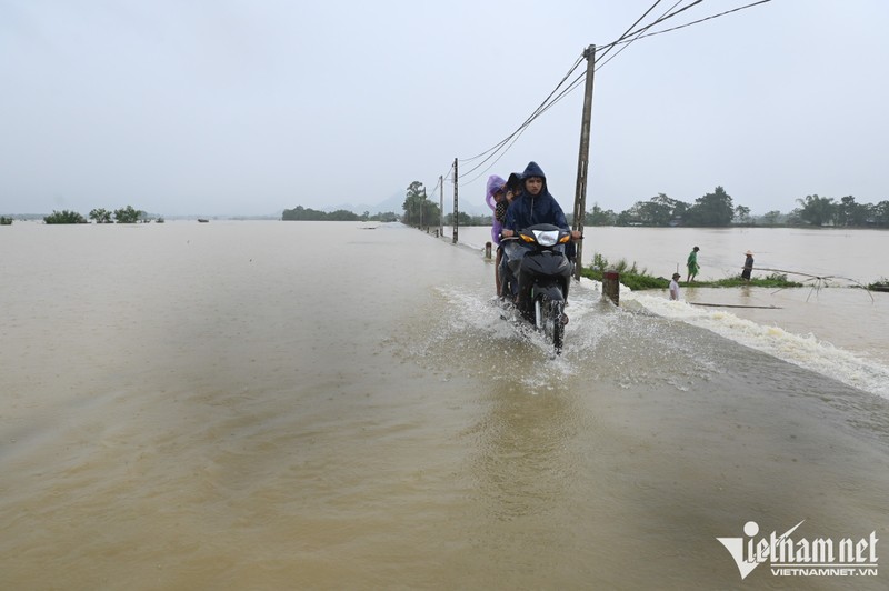 Nguoi dan ngoai thanh Ha Noi ra duong bat ca trong nuoc lu-Hinh-11