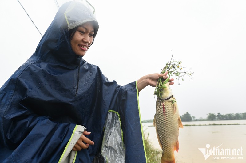 Nguoi dan ngoai thanh Ha Noi ra duong bat ca trong nuoc lu-Hinh-3