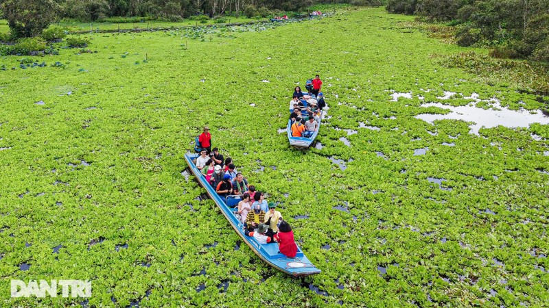 Ghe rung tram dep nhat mien Tay, noi phim “Dat rung phuong Nam” bam may-Hinh-8