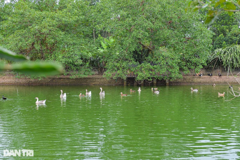 Co ngoi tien ty cua doi vo chong nguoi dan toc San Diu-Hinh-10