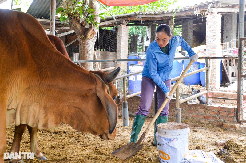 Co ngoi tien ty cua doi vo chong nguoi dan toc San Diu-Hinh-6