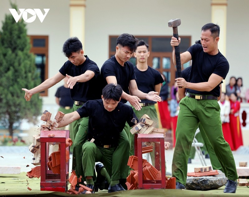 Man trinh dien vo thuat cua cong an trai giam va canh sat co dong-Hinh-19