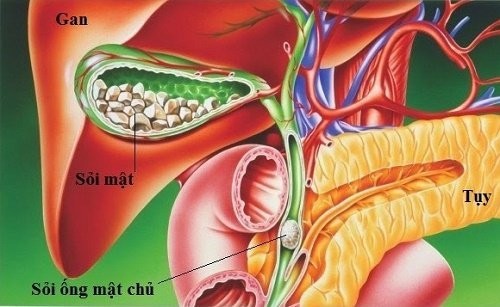 Cat tui mat co anh huong den suc khoe?