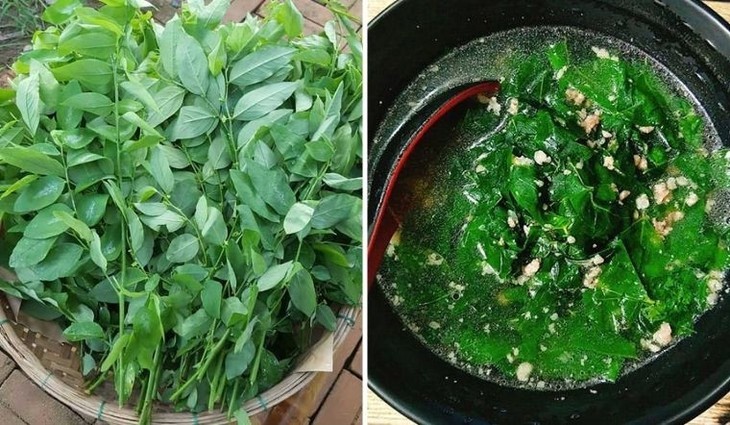 Hai loai rau chua ca “vua vitamin C” giup bo mau, ha duong huyet