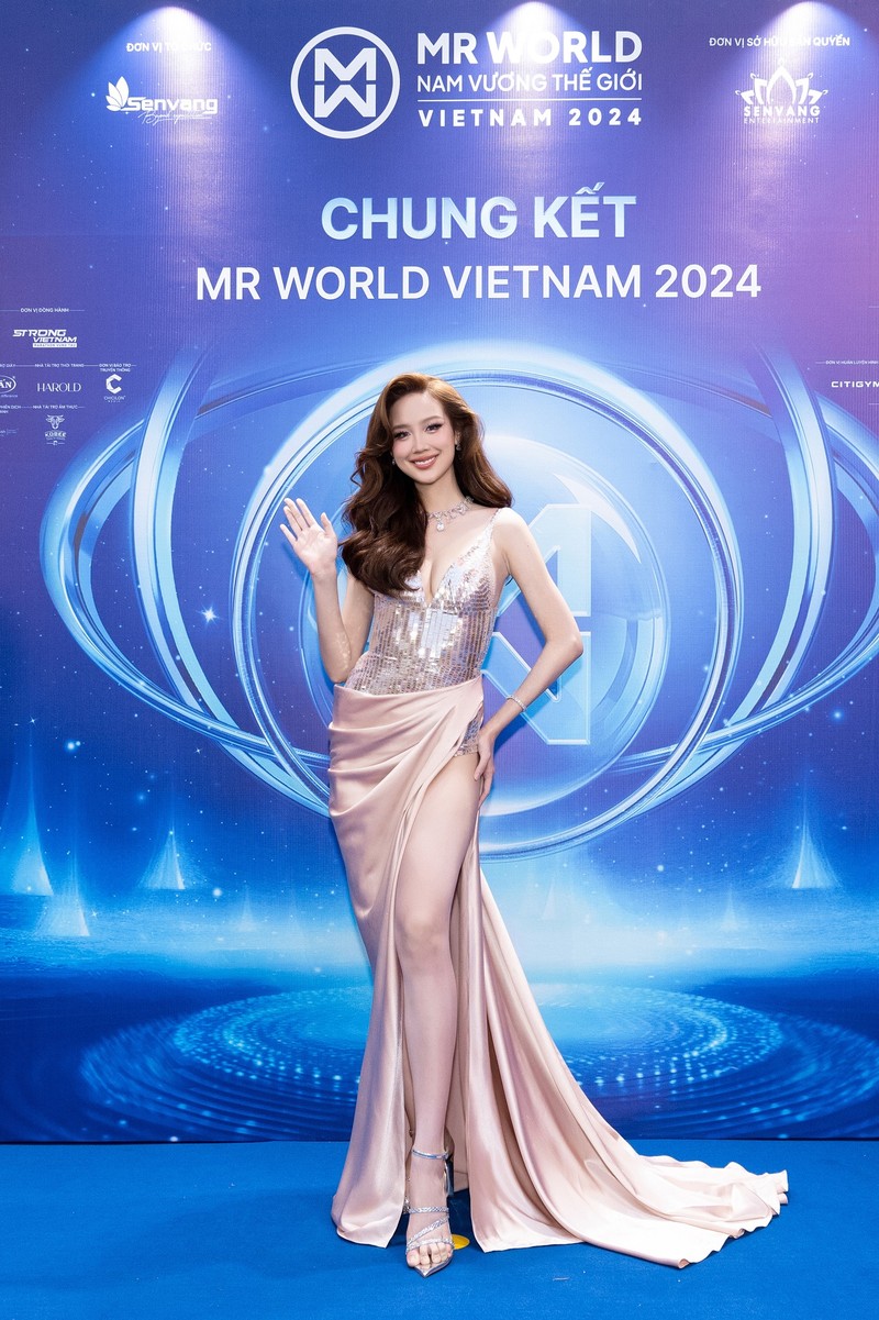 Dan hoa hau long lay tren tham do chung ket Mr World Vietnam 2024-Hinh-5