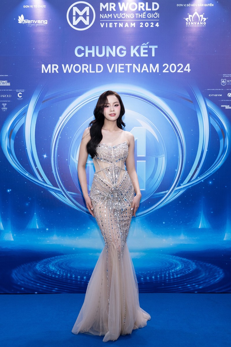 Dan hoa hau long lay tren tham do chung ket Mr World Vietnam 2024-Hinh-8