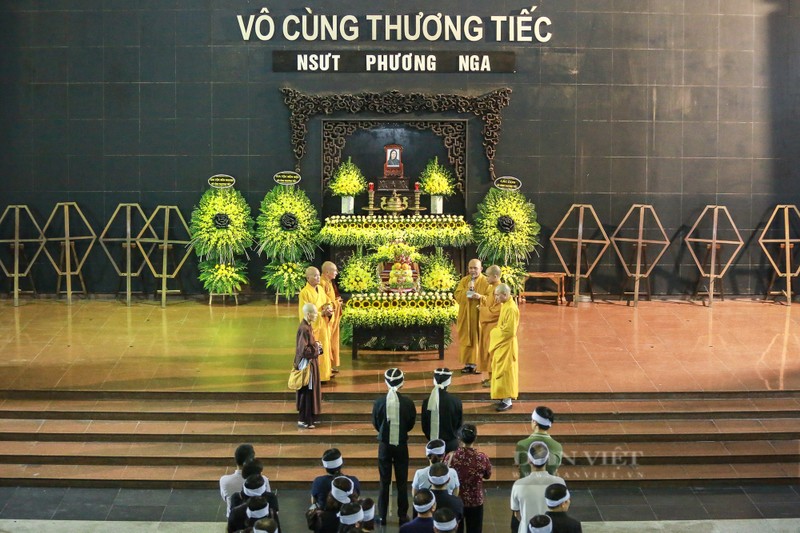 Dan sao Viet nghen ngao tien biet NSUT Phuong Nga