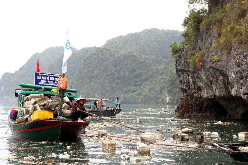 Bo Van hoa len tieng ve thong tin lien quan den vinh Ha Long-Hinh-5