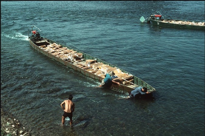 Nhip song hoi ha o Quang Ninh nam 1994-1995-Hinh-12