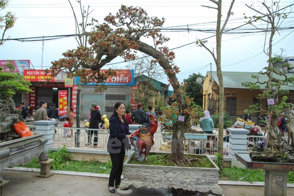 Da mat ngam cay dau canh tram trieu doc nhat vo nhi-Hinh-2