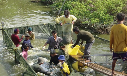 An tuong trang trai nuoi tom sach lon nhat the gioi-Hinh-8