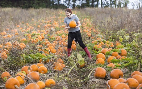 Tan muc trang trai trong bi ngo khong lo cho le Halloween-Hinh-6