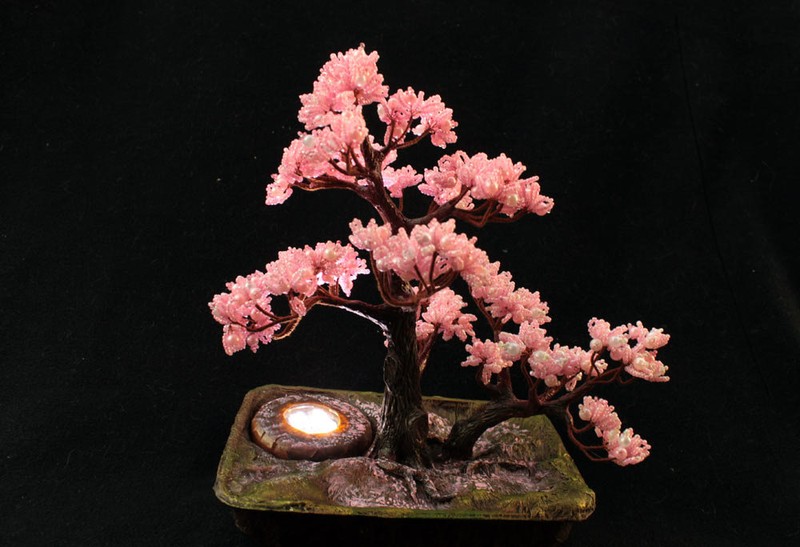 Ngam bonsai no day hoa hut hon khach hang-Hinh-6