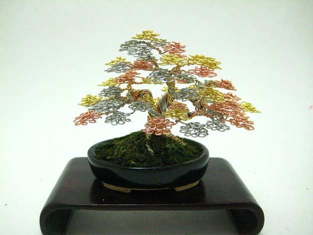 Bonsai cuc doc tao dang tren vat lieu la-Hinh-6