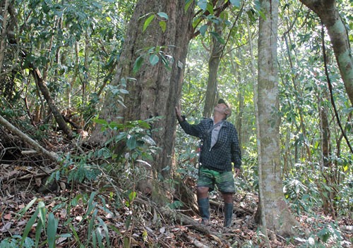 Dung si san Fulro mot thoi gio hoa “nguoi rung”