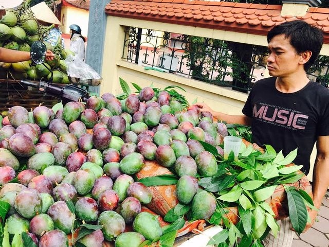 Tan muc nhung loai xoai doc, di, la sieu hut khach