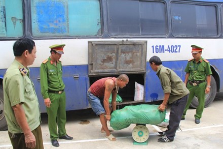 Thanh Hoa Bat giu nua tan noi tang dong vat hoi thoi-Hinh-2