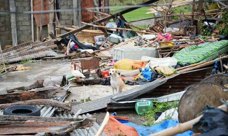 Mien Bac Philippines tan hoang sau sieu bao Mangkhut, 14 nguoi chet-Hinh-6