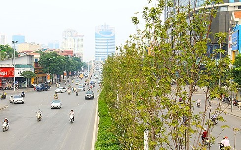 Thoi tiet hom nay: Ha Noi tro lanh, nhiet do thap nhat la 20 do C