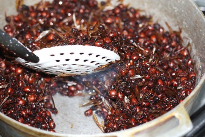 Nhung loai snack, banh con trung cuc di ban co dam thu-Hinh-5