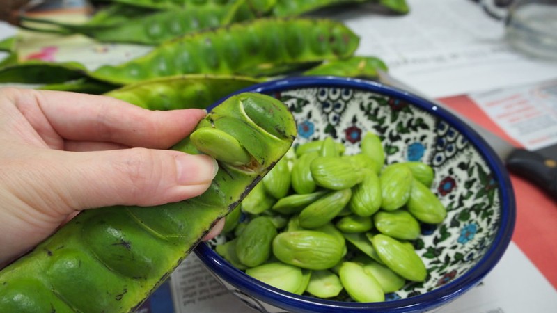 Kham pha loai dau thoi nhu “mui xi hoi” cua Thai Lan-Hinh-5