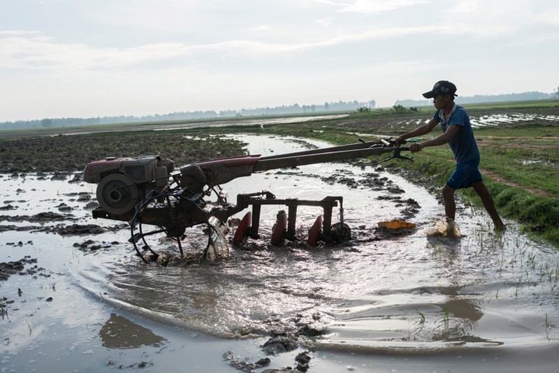 Nong dan Campuchia bi day vao canh khon cung vi bien doi khi hau-Hinh-4