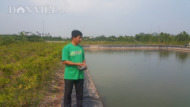 Nam Dinh: Da mat ngam dan ca vang nhu nghe, thu tram trieu/nam-Hinh-3