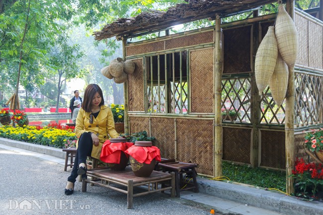 Trien lam hoa, cay canh tram trieu thu hut nguoi dan Ha Noi-Hinh-6