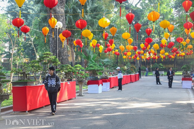 Trien lam hoa, cay canh tram trieu thu hut nguoi dan Ha Noi-Hinh-7