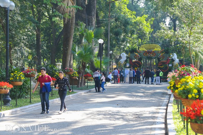 Trien lam hoa, cay canh tram trieu thu hut nguoi dan Ha Noi