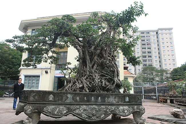 Hai cay sanh “khung” cua doanh nhan bi an o Ha Noi-Hinh-10