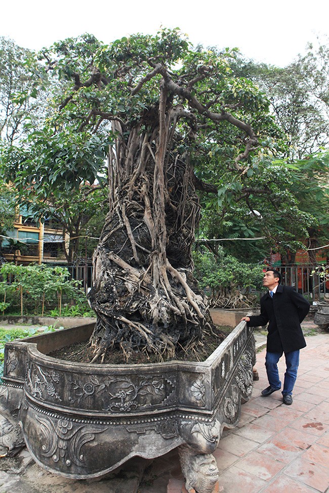 Hai cay sanh “khung” cua doanh nhan bi an o Ha Noi-Hinh-14