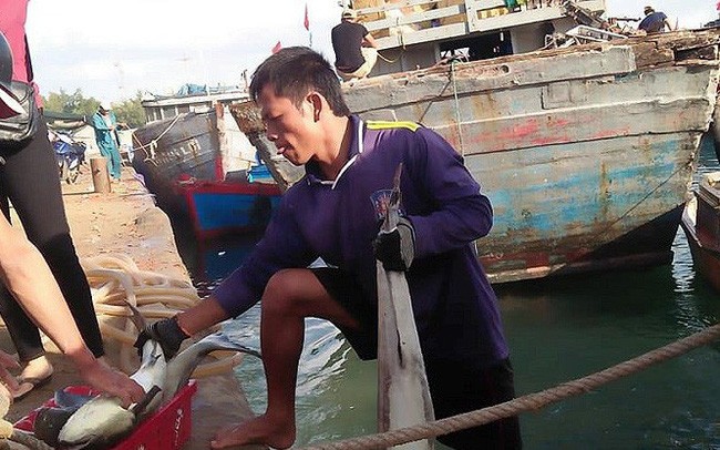 Trung dam ca bop, ngu dan dao toi ke lai vai tram, nguoi thu tien ti