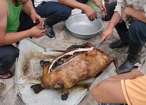 Choang vang voi de nhoi da nong - dac san Mong Co co 1-0-2-Hinh-6