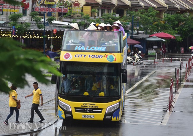 Ha Long xuat hien xe buyt 2 tang, khach Tay hao hung doi mua ngam pho-Hinh-14