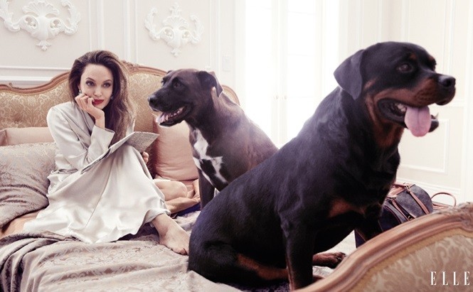 Angelina Jolie 44 tuoi dep rang ngoi voi than thai me hoac-Hinh-4