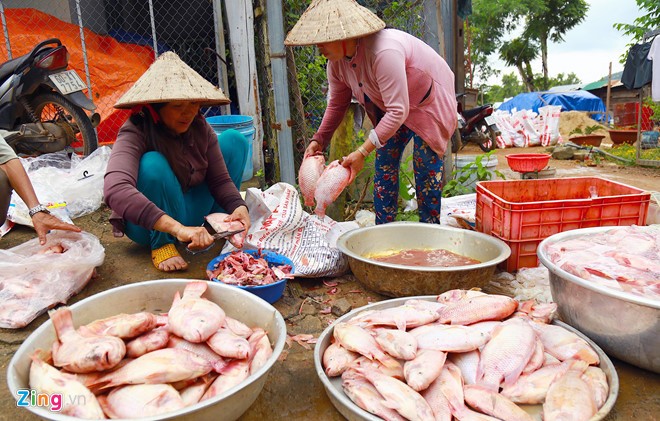 Hang nghin tan ca chet do mua lu khien nguoi dan dieu dung-Hinh-2