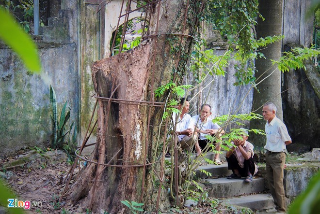 Lang ngoai thanh Ha Noi du kien thu ve 150 ty tu ban dau gia go sua-Hinh-2