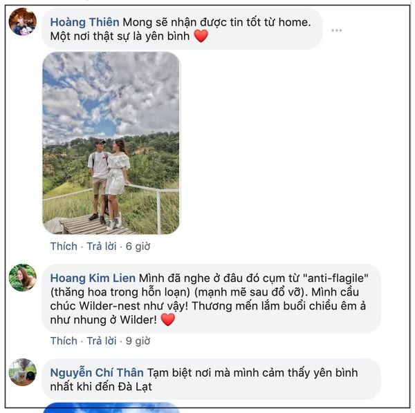 Dan tinh tiec nuoi khi homestay hot nhat Da Lat thong bao tam dong cua vi tranh chap dat dai-Hinh-3