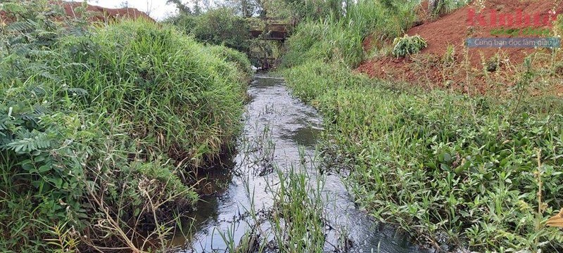 Dak Nong: Cong ty TNHH Hong Duc xa nuoc thai den ngom ra moi truong