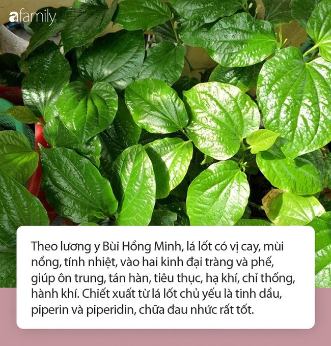 An la lot chua dau nhuc xuong khop nhung can luu y dieu gi khi an?