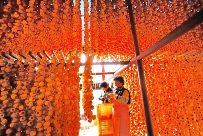 “Dot nhap” noi lam dac san hong kho treo gio o que huong ong Park Hang Seo-Hinh-3