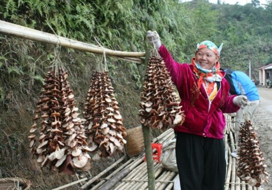 Nhung dac san vung cao thuong xuat hien tren mam co Tet-Hinh-6