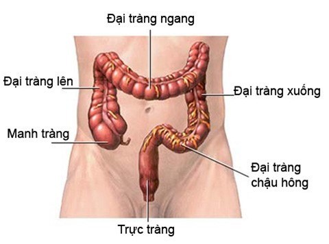 Benh ung thu truc trang cua “nu hoang goi cam” Tieu Thuc Than nguy hiem ra sao?-Hinh-2