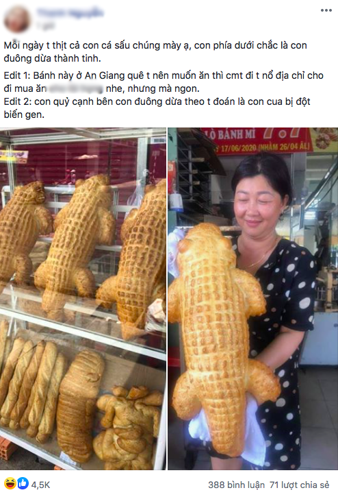 “Giai ma” mon banh mi ca sau khong lo gay sot mang xa hoi