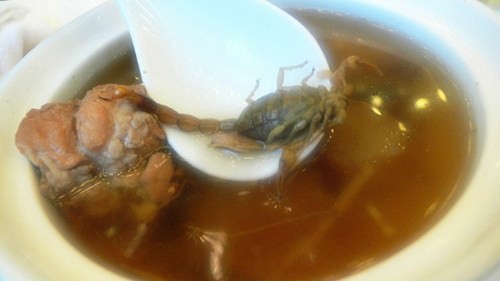 Mon sup bo cap kinh di cua Trung Quoc khien du khach “khoc thet”-Hinh-3