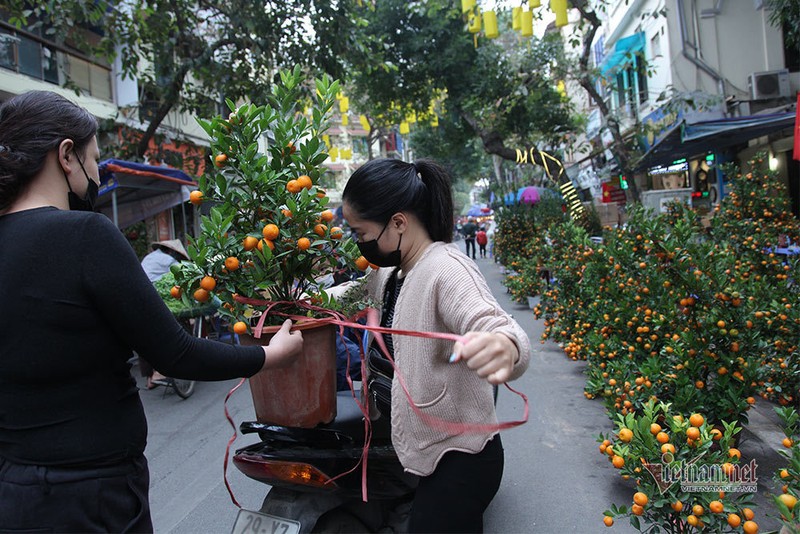 8 ngay nua den Tet, cho hoa pho co Ha Noi vang chua tung co-Hinh-8