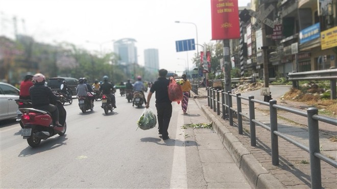 Anh: 15 tan rau cu cua nong dan Hai Duong het veo sau vai tieng 'giai cuu'-Hinh-4